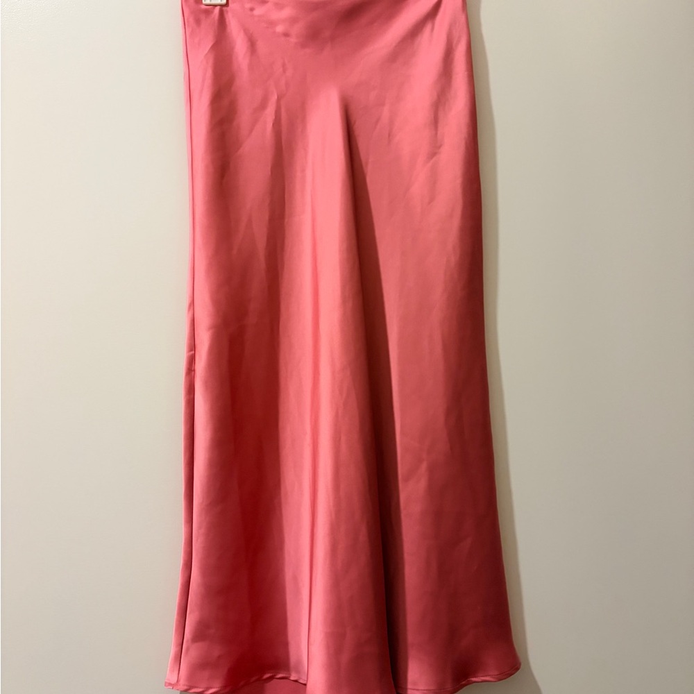 Zara Pink Maxi Skirt